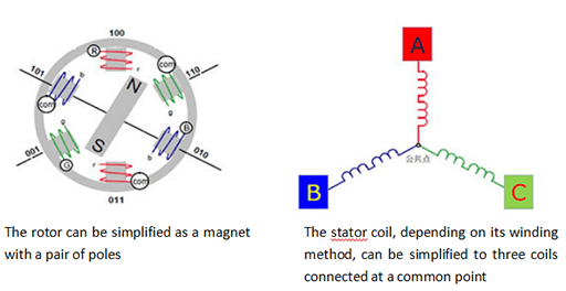 the left is the simplified diagram of the permanent magnet brushless DC motor rotor and the right is the stator’s